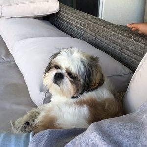 Meet your Posher, Andrew